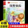 Libros Oficiales de El Mago de Oz: Lectura Extracurricular Imprescindible para Tercer Grado, Set Completo de 4 Libros con Notación Fonética, Lista de Libros Bambi