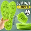 Plantillas Desodorantes de Artemisa para Hombre, Absorbentes de Sudor, Antiolor, Transpirables, Retienen Fragancia, Plantillas Masajeadoras Antibacterianas Especiales para Hombre para Pies Sudorosos