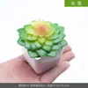 Planta suculenta de simulación en maceta flor artificial mueble de vino mesa adornos pequeños plantas verdes escritorio de oficina sala de estar decoraciones para el hogar
