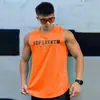 Chaleco de Malla Transpirable de Secado Rápido para Fitness Muscular, Absorbe la Humedad, para Entrenamiento, Baloncesto, Deportivo, a la Moda, Camiseta sin Mangas para Hombre