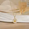 Colar para Mulheres, Flor de Zircônia Bauhinia Giratória da Moda Nicho Moda Novo Design Pingente Titânio Aço Colar de Temperamento