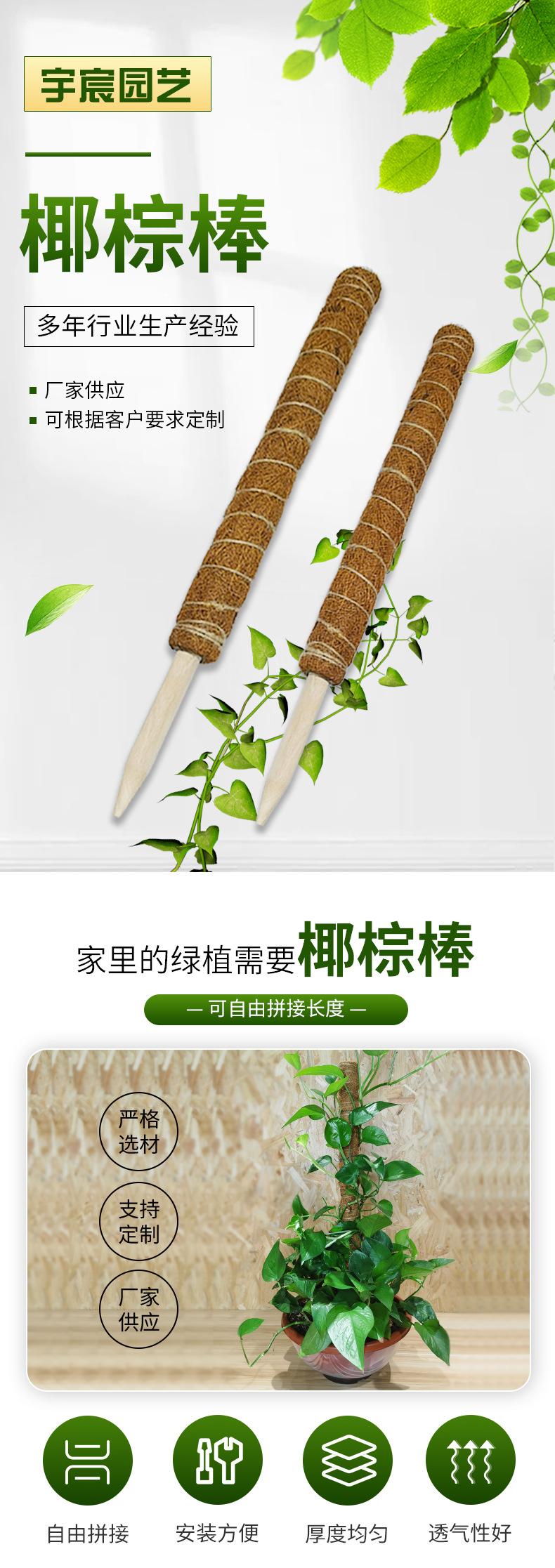 宇宸详情_01