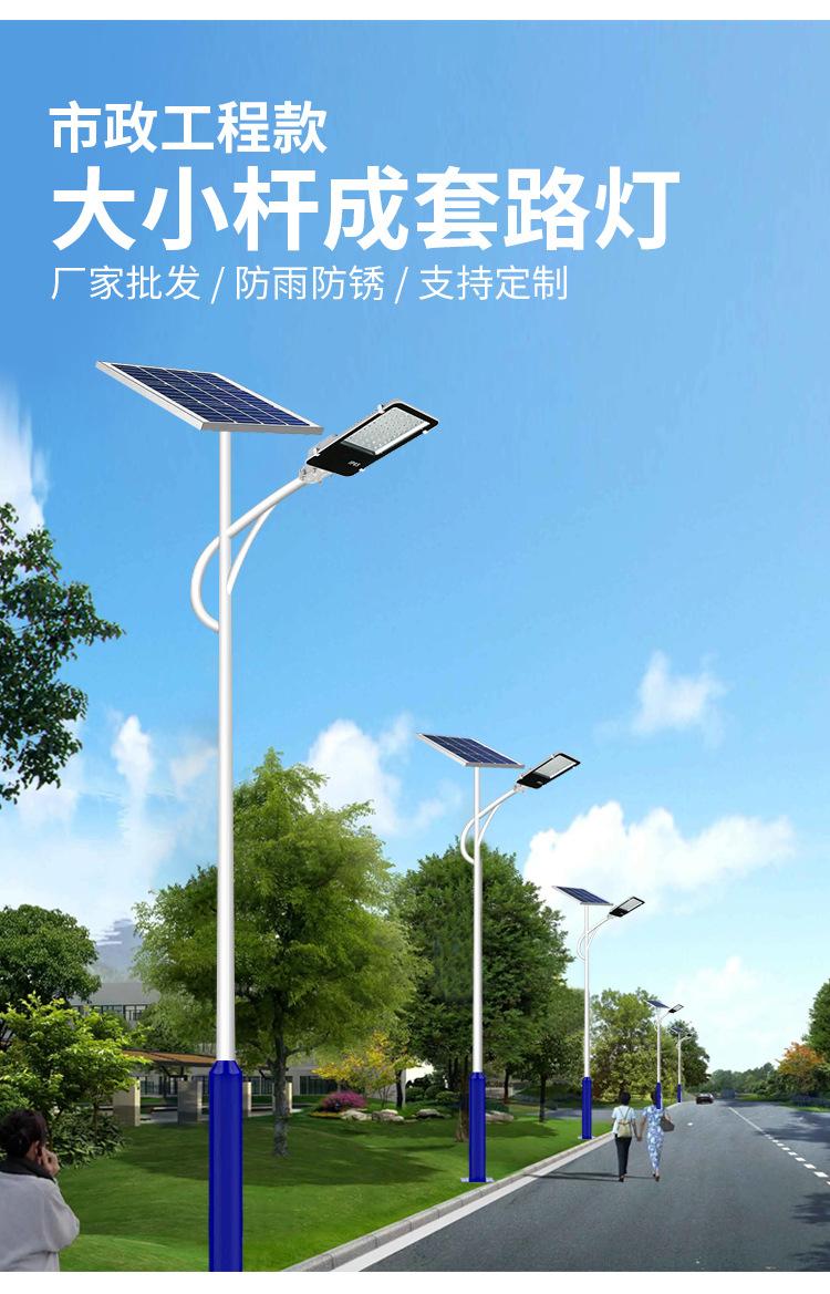 25大小杆路灯_01.jpg