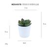 Set de Bonsái de Suculentas de Plástico Mini en Stock, Suculenta Artificial Creativa de Amazon, Flor Artificial Transfronteriza Planta en Maceta Pequeña