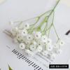 Simulação de estrelas, decoração de casa fresca, fundo de tiro, simulação de alta qualidade, ornamentos de design suave de flores por todo o céu