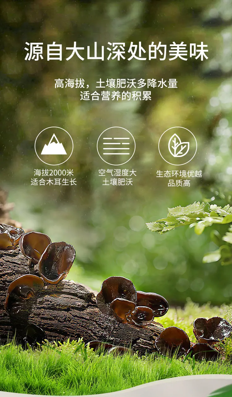 云南深山黑木耳详情页_04