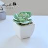 Suculenta Pequeño Bonsái Cerámica Muebles para el Hogar Decoración Fabricante de Jinhua Plantas Verdes Aliexpress Flor Artificial Plantas en Maceta