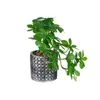 Planta Artificial Colgante Orquídea Bonsái, Decoración Creativa de Interior, Planta Artificial en Maceta de Amazon, Dropshipping
