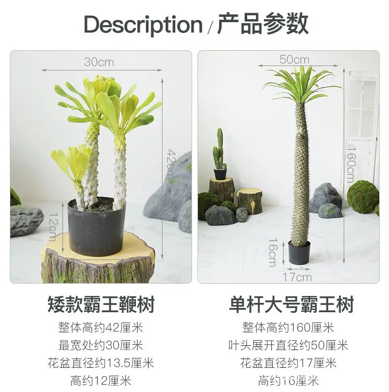 仿真霸王树系列_05.jpg