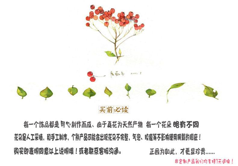 开头新海报