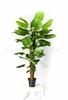Simulación de comercio exterior taro verde simulación taro de hadas bonsái planta de simulación Guanyin goteante adornos decorativos en maceta venta al por mayor