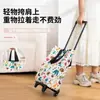 Carrito de compras portátil plegable, carrito pequeño con ruedas, bolsa de compras ecológica, remolque para el hogar, de un solo hombro, impermeable, ligero