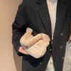 Otoño e Invierno bolso pequeño peludo para hombro y axila para mujer 2021 nueva moda niña niña bolso portátil de felpa