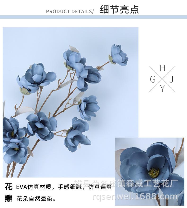 玉兰花_06.jpg