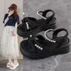 Sandalias Elásticas de Suela Gruesa para Mujer, Estilo Nuevo Verano 2025, Ligeras y Versátiles, Adecuadas para el Trabajo Diario y para Usar con Vestidos, Zapatos de Playa