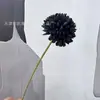 Flor de Crisântemo Bola de Ramo Único Flor de Crisântemo Bola de Ping Pong Dente-de-Leão Flor Artificial Decoração de Arranjo de Flores em Vaso para Sala de Estar Transfronteiriço