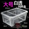 Caja de cría de mascotas Taibao anti-trepadoras, doble apertura, caja de hábitat para árboles grandes, medianos y pequeños, caja cuadrada, reptil, trigo, araña pequeña, profesional