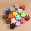 Amazon Petal Juego de Pinzas Pequeñas de Flor Colorida para Peinados Semirecogidos, Pinza de Tiburón Dulce para Moño en la Parte Trasera de la Cabeza Accesorio para el Cabello Transfronterizo