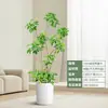 Forma Pie de Pato Madera Sala de Estar Maceta Grande Planta Verde Interior Sala de Estar Grande de Pie Flor Real Pila Vieja Pie de Pato Madera