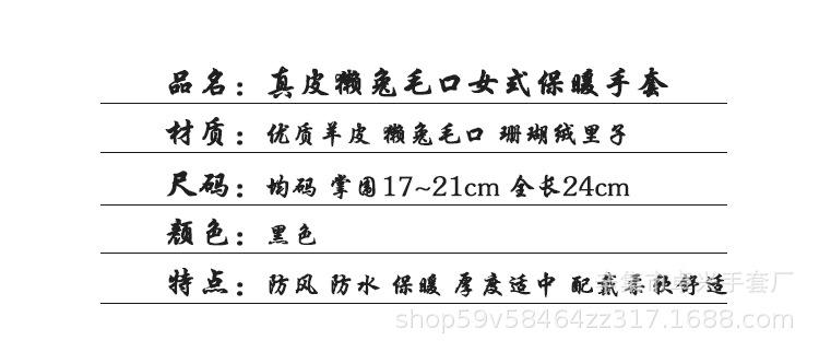 女款手套属性表_01.jpg