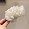 Gran Colección de Pinzas de Banana para una Cola de Caballo Elegante, Realzando el Volumen del Cabello, con un Toque de Lujo, Exquisitas Pinzas de Garra Verticales para la Parte Posterior de la Cabeza