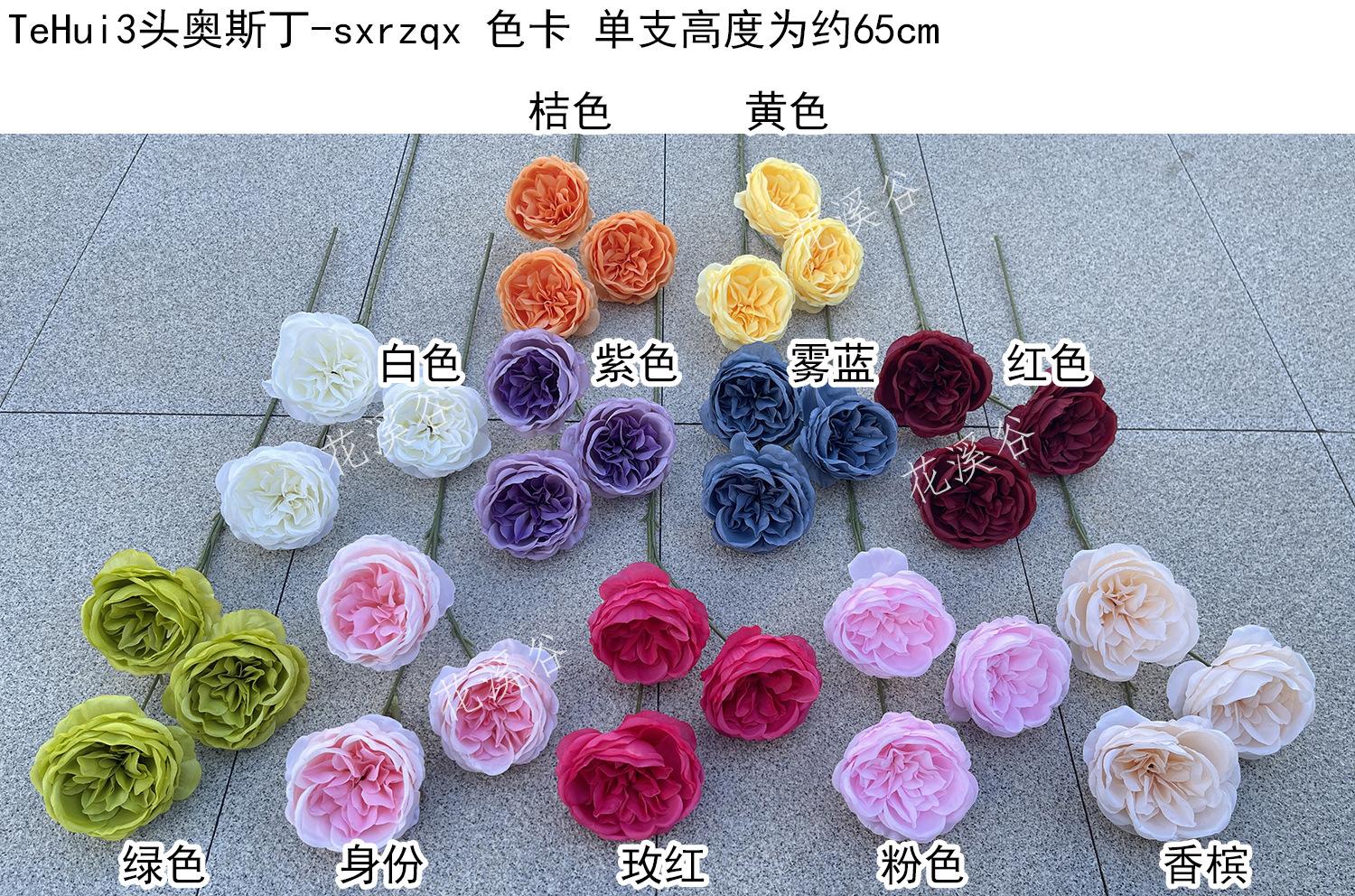 TeHui3头奥斯丁-sxrzqx 色卡 花溪谷.jpg