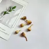 Pendientes de Planta Fruta Bellota Hechos a Mano DIY Fruta Pendientes Personalizados Creativos Material Chica Linda Pendientes Retro