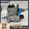 1000161361 Conjunto da Bomba Injetora de Combustível Common Rail Efi É Adequado para Motor Diesel Weichai Deutz Wp6