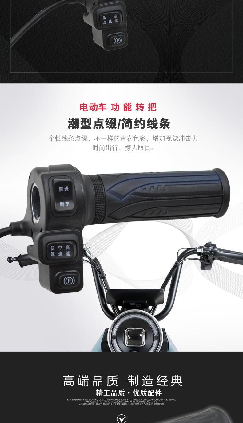 休闲车转把_02