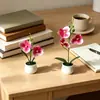 Nuevo set de bonsái de orquídea phalaenopsis artificial grande y pequeño para decoración de comedor y sala de estar interiores, planta pequeña de flor artificial de escritorio en maceta