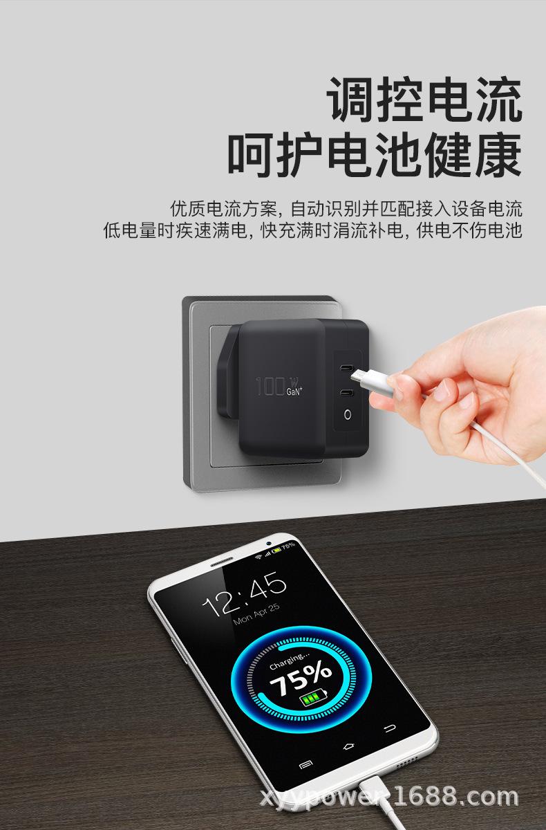 PD100W氮化镓C+C英规