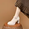 Sapatos de salto grosso de tira única salto alto 2026 Outono Novo Estilo Confortável Impermeável Plataforma Solado Grosso Aumento de Altura Trabalho Sapatos de Couro Feminino