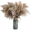 Flores Secas, Juncos y Totoras en Estilo Bosque Vintage para Decoración de Café, Adecuado para Bodas Grandes, Europeo y Americano, Nórdico, Transfronterizo, Exclusivamente para Exportación