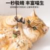 Nuevo Producto Caliente Palo para Jugar con Gatos Bola de Menta Resistente a Mordeduras y Masticación Suministros para Mascotas Juguete Interactivo para Gatos Auto-Placer y Alivio del Aburrimiento