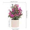 Nova Planta Verde Artificial Mais Vendida na Amazon Plantas em Vasos Estilo Europeu Decorações Frescas para Casa Venda por Atacado de Fábrica Plantas Verdes Decorativas
