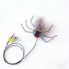 Cabeza de repuesto para caña de juguete para gatos tipo mosca simulada con cuerda larga, accesorio de insecto, pequeño juguete volador para gatos muy animado, artículos para mascotas para autoentretenimiento