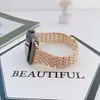 Adecuado para correa de reloj Apple s8 Applewatch Generaciones 1-7 Siete perlas aleación de diamante lateral correa de reloj iwatch se