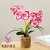 Bonsái de Orquídea Phalaenopsis Artificial Personalizado, Flores Artificiales de Alta Gama, Adornos de Decoración para Interiores, Fabricante de Plantas Artificiales en Maceta, Flores Artificiales de Seda