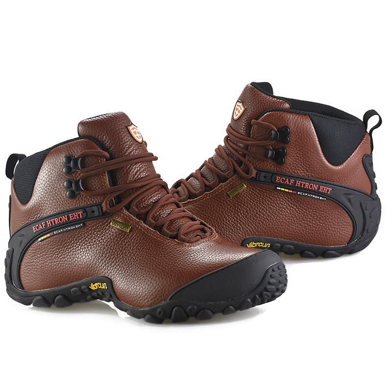 一键复制_20221222110419