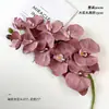 Flores Preservadas Transfronterizas, Orquídeas Mariposa Tácto Real de 10 Cabezas, Flores Artificiales para Exhibición Mayorista, Estilismo de Bodas, Decoración del Hogar y Flores para Decoración de Cubo de la Fortuna