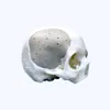 Ornamentos de Modelo de Brinquedo Impressão 3D Personalização Cacto Tricotado Ornamentos de Vaso Acessórios de Mesa Personalizados de Acordo com Desenhos