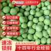 Directamente del fabricante: Mezclas de Verduras Variadas, Chícharos Congelados, Judías Verdes Congeladas Rápidamente para Uso Comercial, Venta de Liquidación por Tiempo Limitado