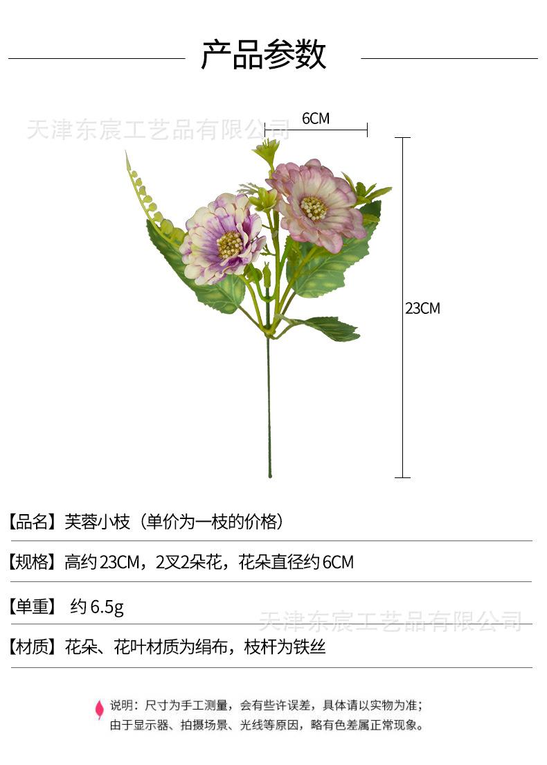 详情_01.png