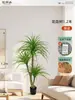 Plantas Verdes Artificiais de Alta Qualidade para Decoração de Sala de Estar, Planta Realista Falsa de Figueira-da-Índia Preta para Decoração de Sala de Transmissão ao Vivo