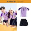 Uniforme de Jardim de Infância Estilo Primavera e Outono Uniforme de Escola Primária Uniforme de Formatura Roupas Esportivas Roxas Uniforme de Sala de Aula Infantil Conjunto de Uniforme de Beisebol Jin