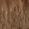 En Stock 300g 100% Poliéster 10mm Tela de Piel de Conejo Juguete de Peluche de Piel de Conejo Tela de Terciopelo Cálido para Abrigo Manta Otoño e Invierno