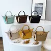 Bolso Portátil Transfronterizo para Empanadillas Otoño e Invierno Mate Moda Bolso de Hombro 2025 Bolso Nuevo para Mujer Textura Bolso Cruzado de Viaje