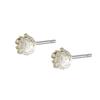 Pendientes elegantes de camelia en plata de ley S925, de lujo, con delicadas flores y colores de hada rosa M02111