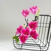Magnolia Artificial Flor Única Arreglo de Flores Falsas de 7 Flores Ramo de Lujo Ligero Decoración Decoración de Plantas Verdes Decoración de Sala de Estar
