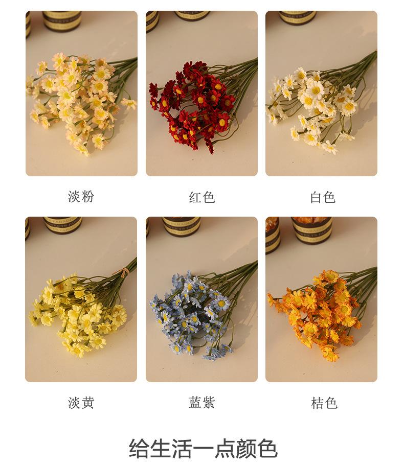 布拉格6枝扎小雏菊_03.jpg